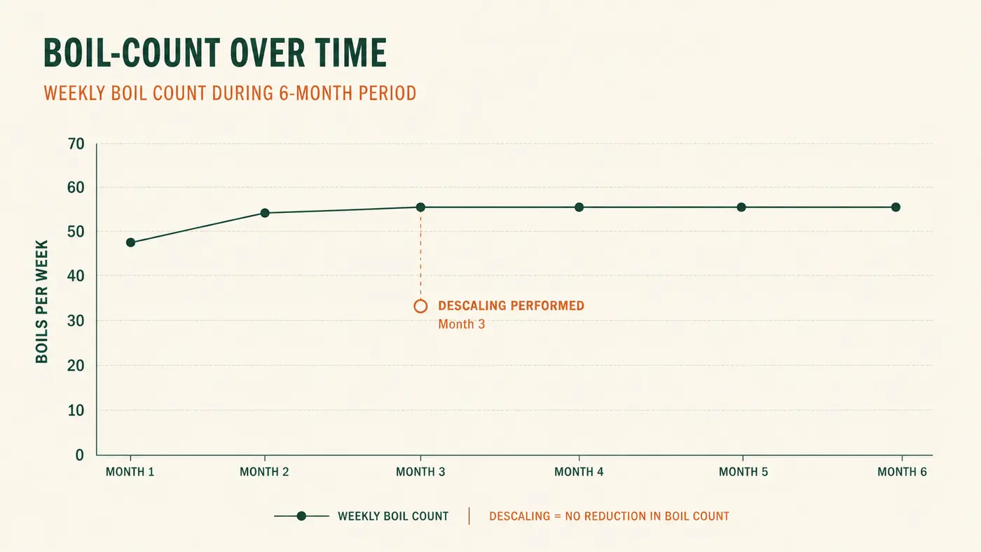 Simple line chart showing weekly boil count with the kettle over six months, staying consistently high after the first month
